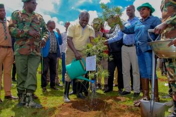 Trees Planting and Growing Exercise at Rumuruti Forest